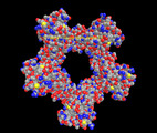 42-168lpdb3m.jpg